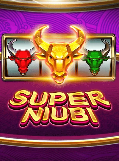 s999net